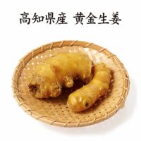 「四万十の香り」高知県産黄金生姜80ｇ